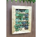 WALL GARDENS